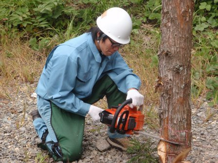国際自然環境アウトドア専門学校のブログ-森林管理実習